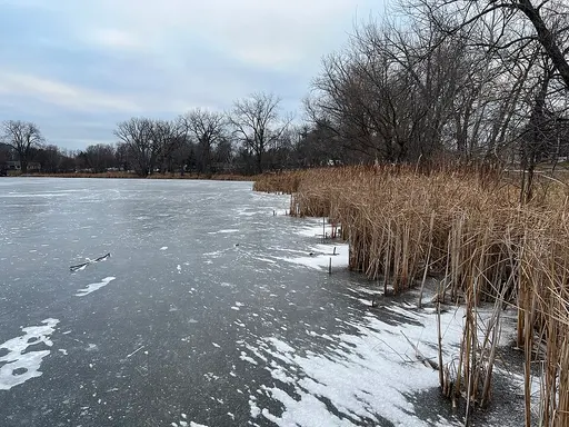 Maplewood, MN