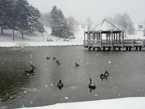 Ballwin, MO